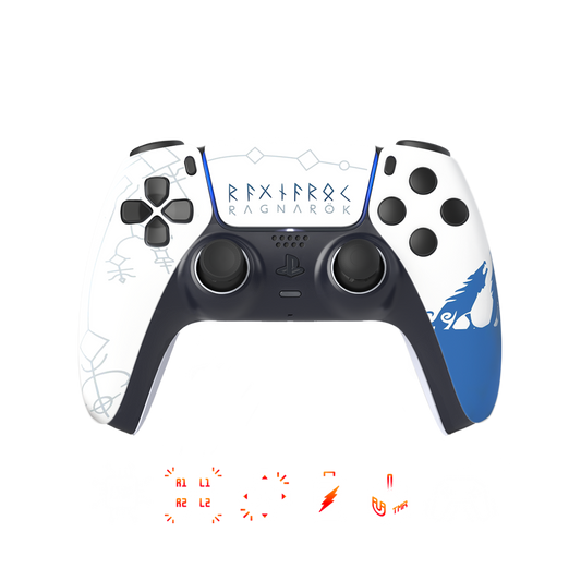 Controller einsenden